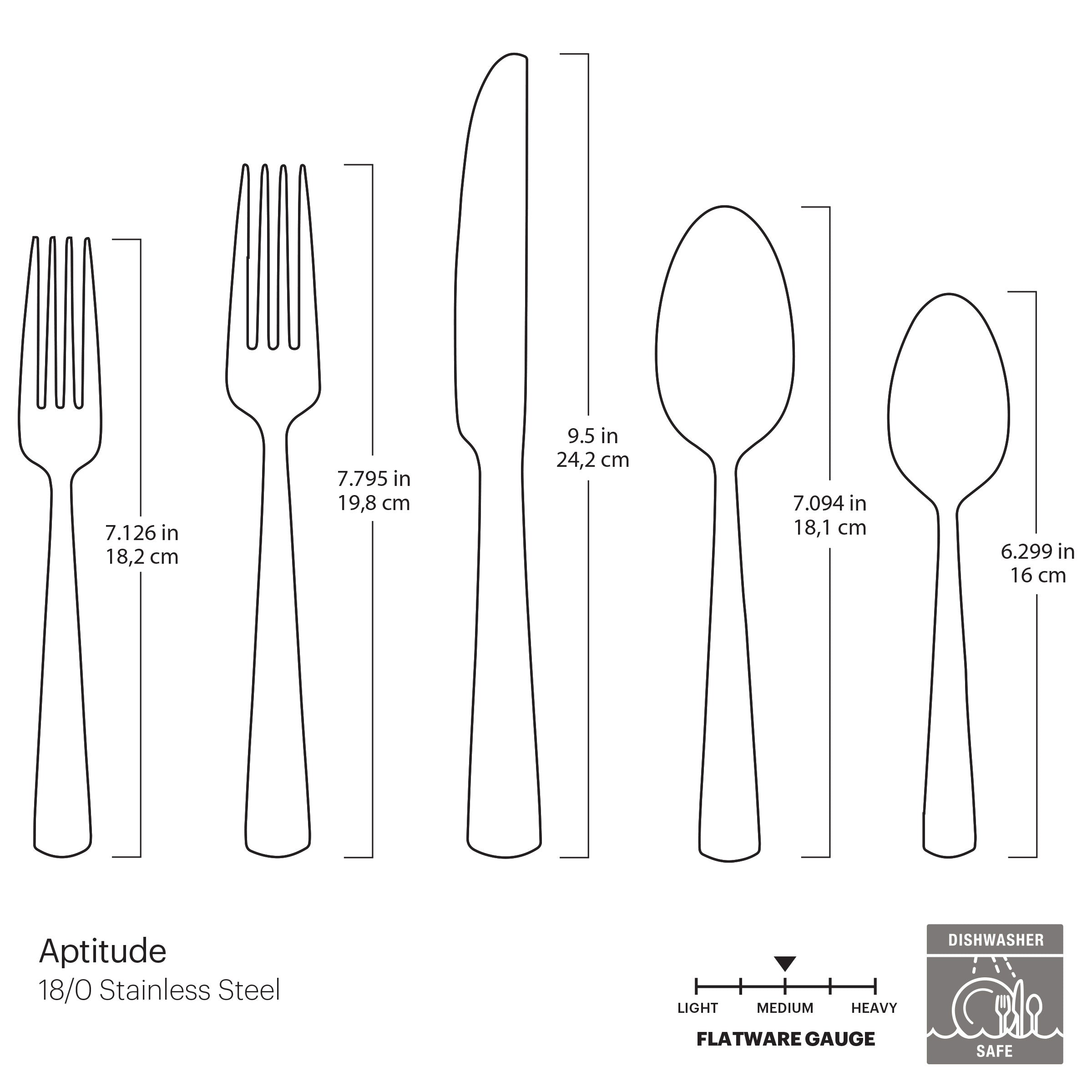 Aptitude Midnight Glossy 20 Piece Flatware Set